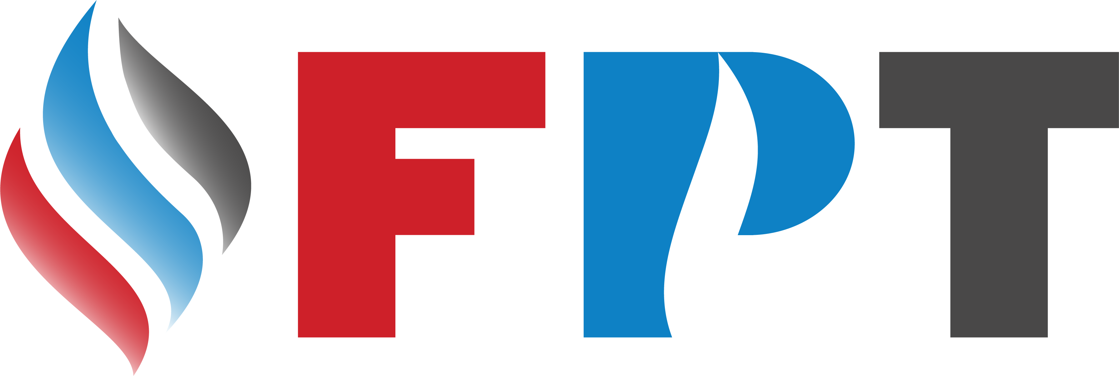 Fire Protection Team